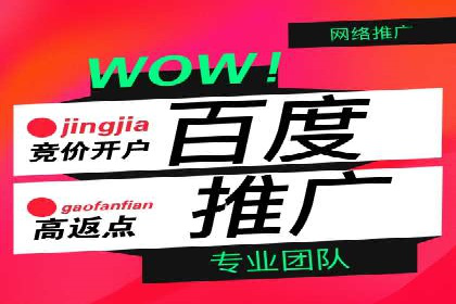 SEM托管服务案例：实现品牌价值最大化